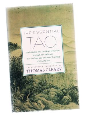 The Zhuangzi: A Labyrinthine Journey Through Taoist Thought and Cosmic Playfulness